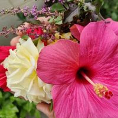 Belesiri Hydroponics Farming logo