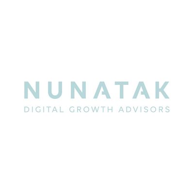 The Nunatak Group GmbH logo