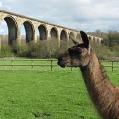 Ty Mawr