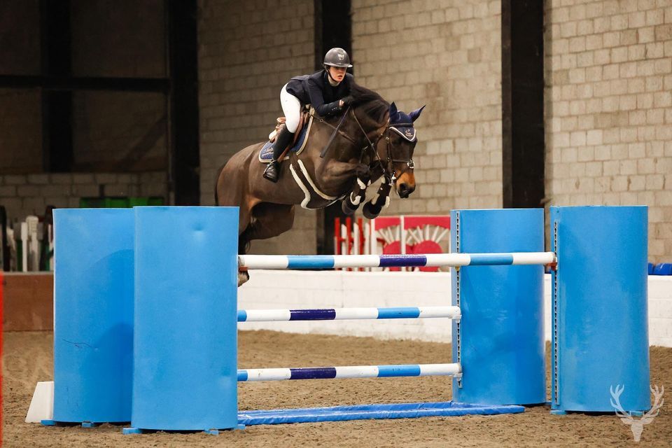 Bs cat 2 show , The Daimler Foundation at Morris Equestrian Centre