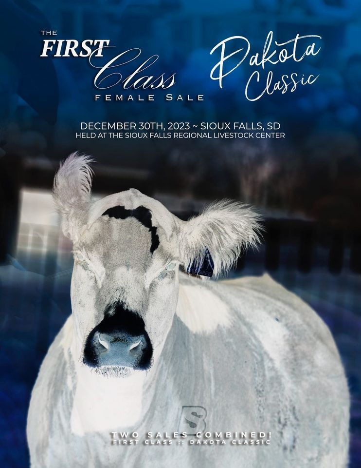 Dakota Classic First Class Female Sale, Sioux Falls Regional