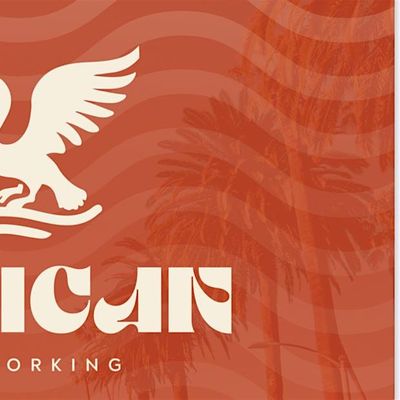 Pelican Networking