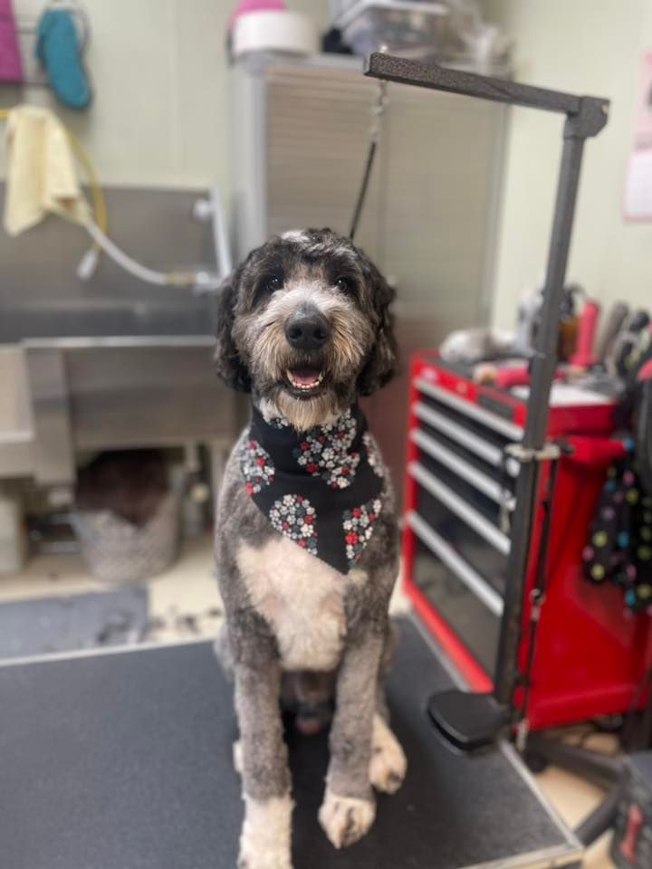 June Walkin Nail Clinc, Pet Food Center, Evansville, June 8 2023