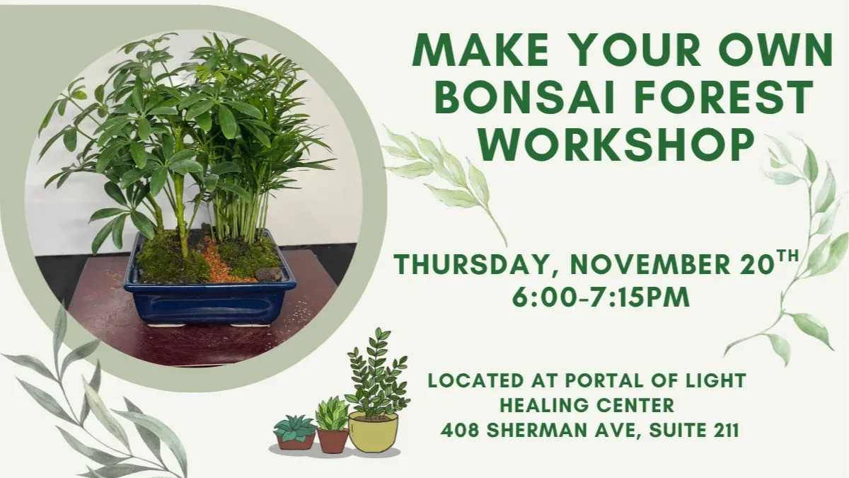 Make Your Own Indoor Bonsai Tree Forest 🌳 | Event in Coeur d Alene  | AllEvents