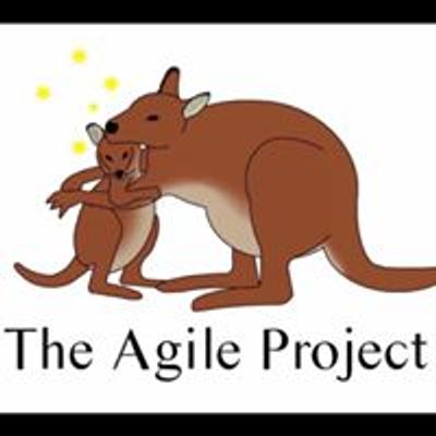 The Agile Project