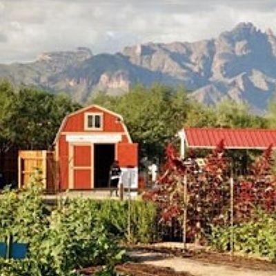 Tucson Village Farm logo