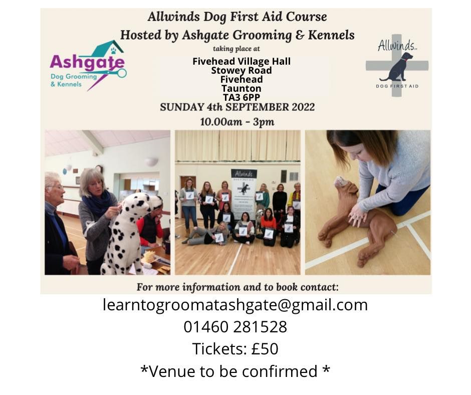 allwinds dog first aid