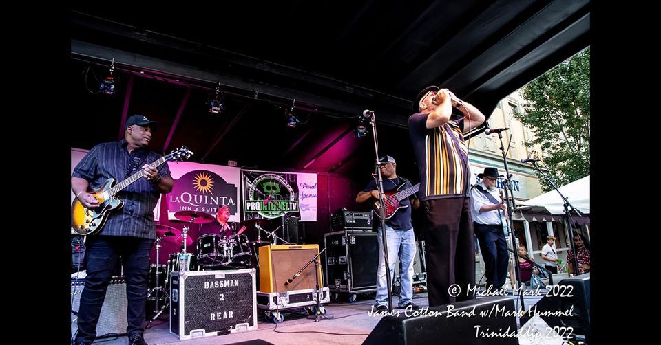 James Cotton Tribute w/ Mark Hummel & the Cotton Band , Cottonmouth