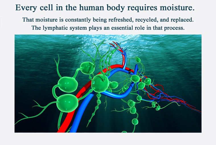 Manual techniques for supporting and managing the Lymphatic system