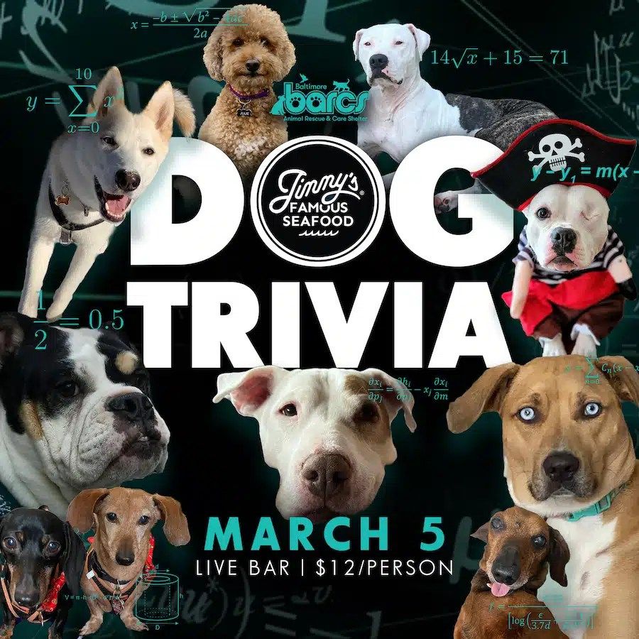 Jimmys Famous Dog Trivia , Jimmy's Famous Seafood, Baltimore, March 5 2023 Jimmys Famous Dog Trivia , Jimmy's Famous Seafood, Baltimore, March 5 2023