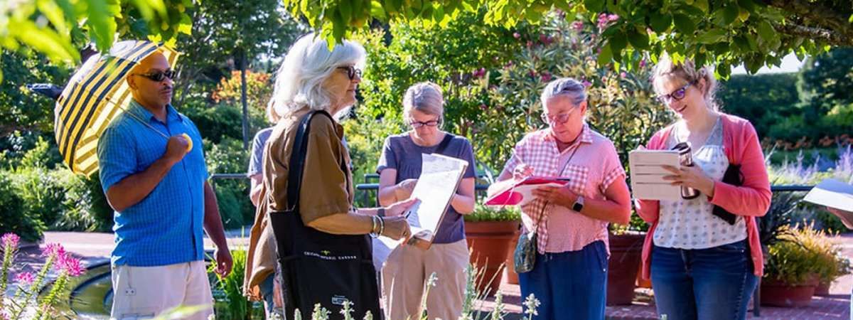 Herbaceous Perennials, 15 July | Event in Glencoe | AllEvents