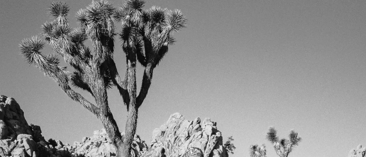 Spencer Crandall in Phoenix, 13 November | Event in Phoenix | AllEvents