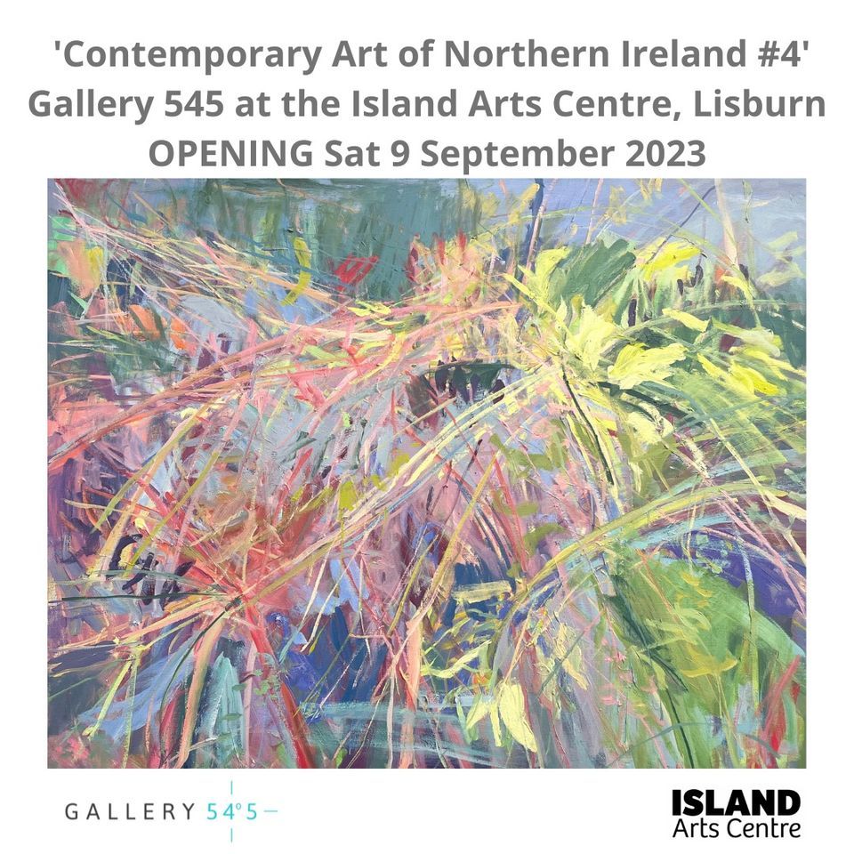 EXHIBITION OPENING - Contemporary Art of Northern Ireland #4 Gallery