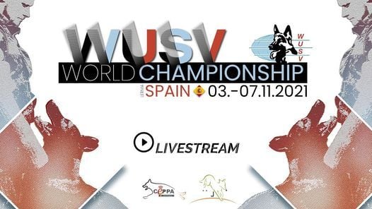 Nabba World Championships Events In The City Top Upcoming Events For Nabba World Championships Nabba Austrian Championship 2022