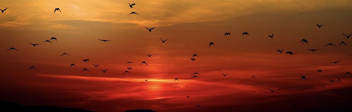 Lighten, Embody Freedom through Energy Practice, 13 December | Event in Eugene | AllEvents