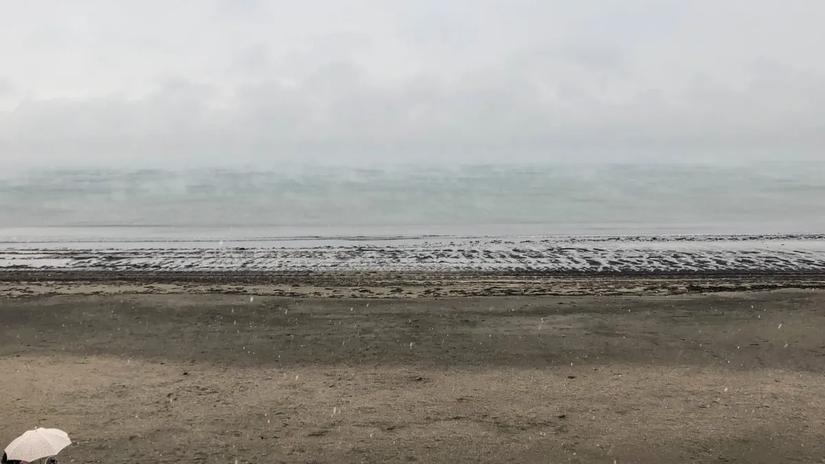 Casey Driessen in Brevard, 21 August | Event in Brevard | AllEvents