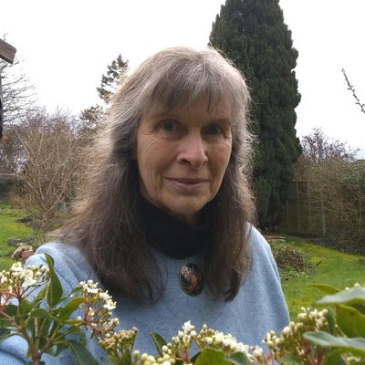 Chakradance with Liz logo