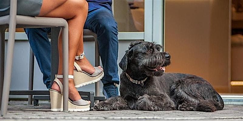 *FLASH SALE 40%*  As seen on BravoTV! Blind-Date Matchmaking in Oakland | Event in Oakland | AllEvents