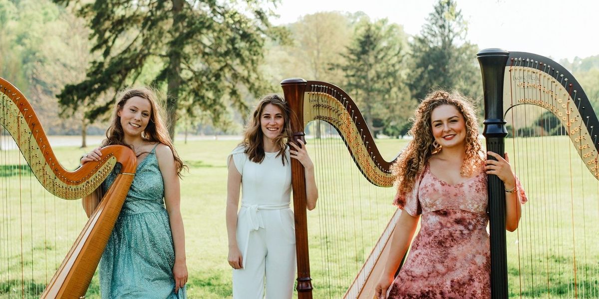 Parking Harp of Ages and Pictures of an Exhibition, 12 April | Event in Glen Ellyn | AllEvents