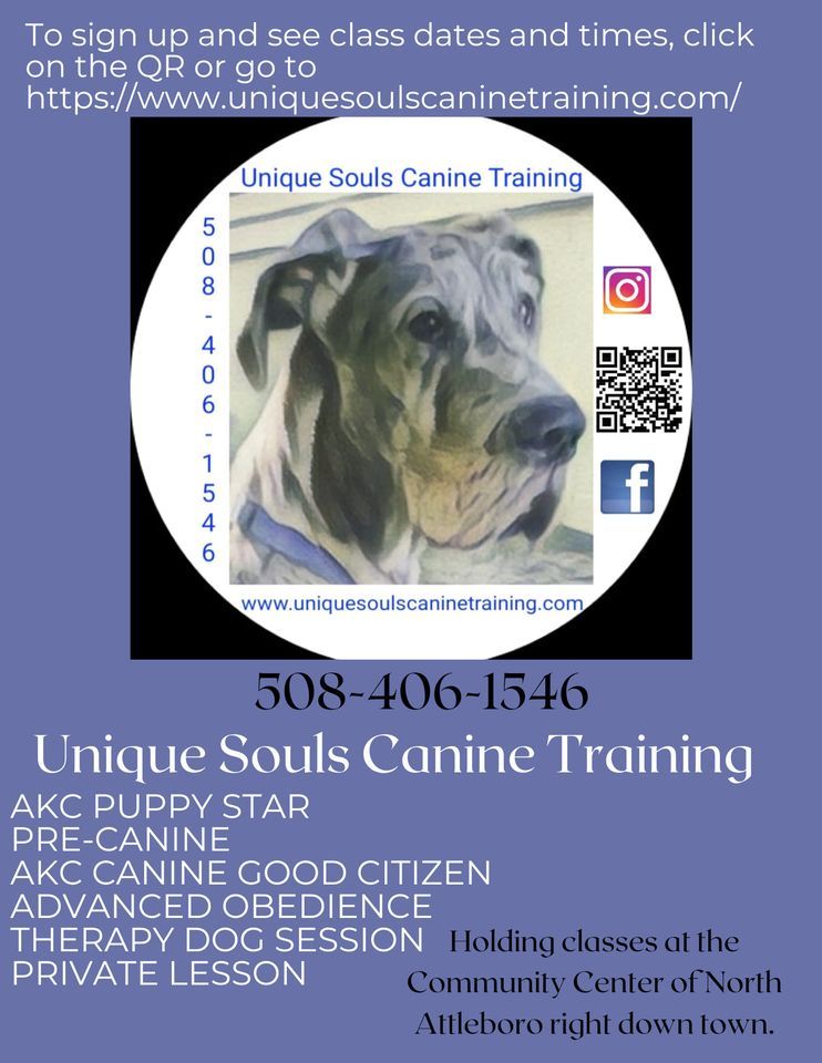 Dog training , 104 N Washington St, North Attleboro, MA 027601633