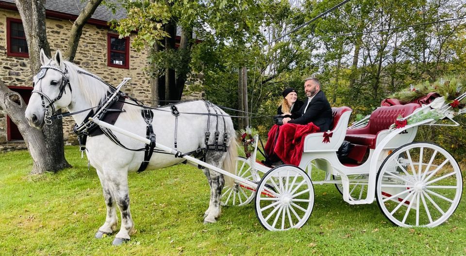 VALENTINES DAY WEEK CARRIAGE RIDES in Bethlehem, Pa!, Main Street