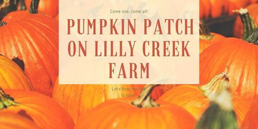 Pumpkin Patch Mini sessions at 1654 Auraria Rd, Dawsonville, GA 30534