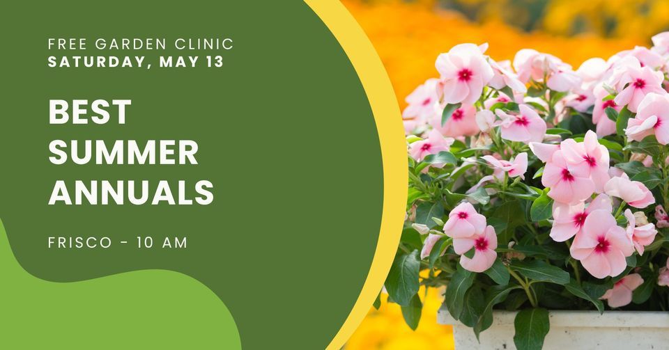 Best Summer Annuals FRISCO, Shades of Green Nursery + Landscape