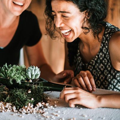 Terrarium Therapy logo