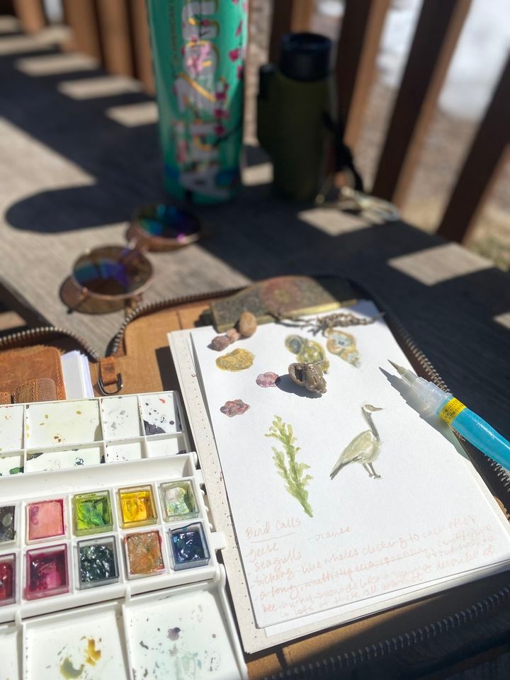 Nature Journaling Capturing Moving Animals Birds, Alberta House Arts