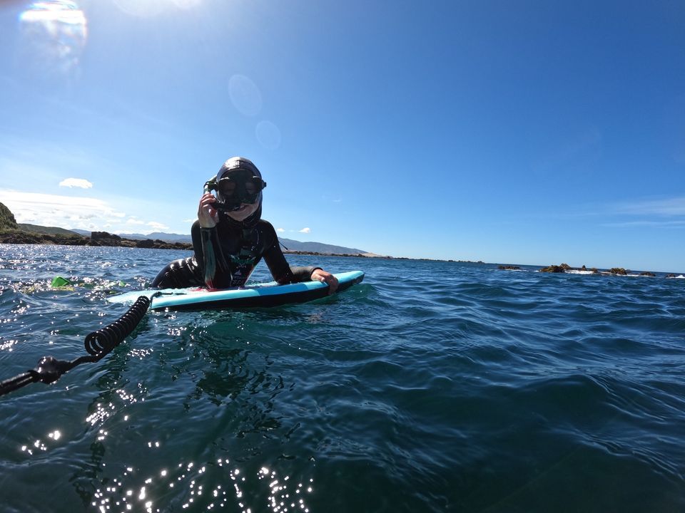 Snorkelling and Play, Bonobo NZ, Wellington, January 25 2024 AllEvents.in