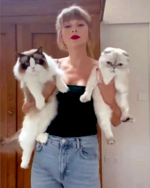 Taylor Swift Listening Party, MEow Lounge, Westbrook, October 27 2023 ...