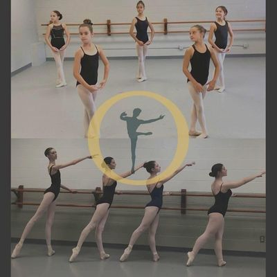 New York Dance Theatre / Ohman School of Ballet logo