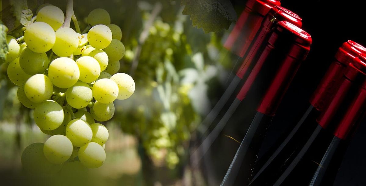 PRESTIGE AUTO BEAUNE 2025 | Event in Beaune | AllEvents