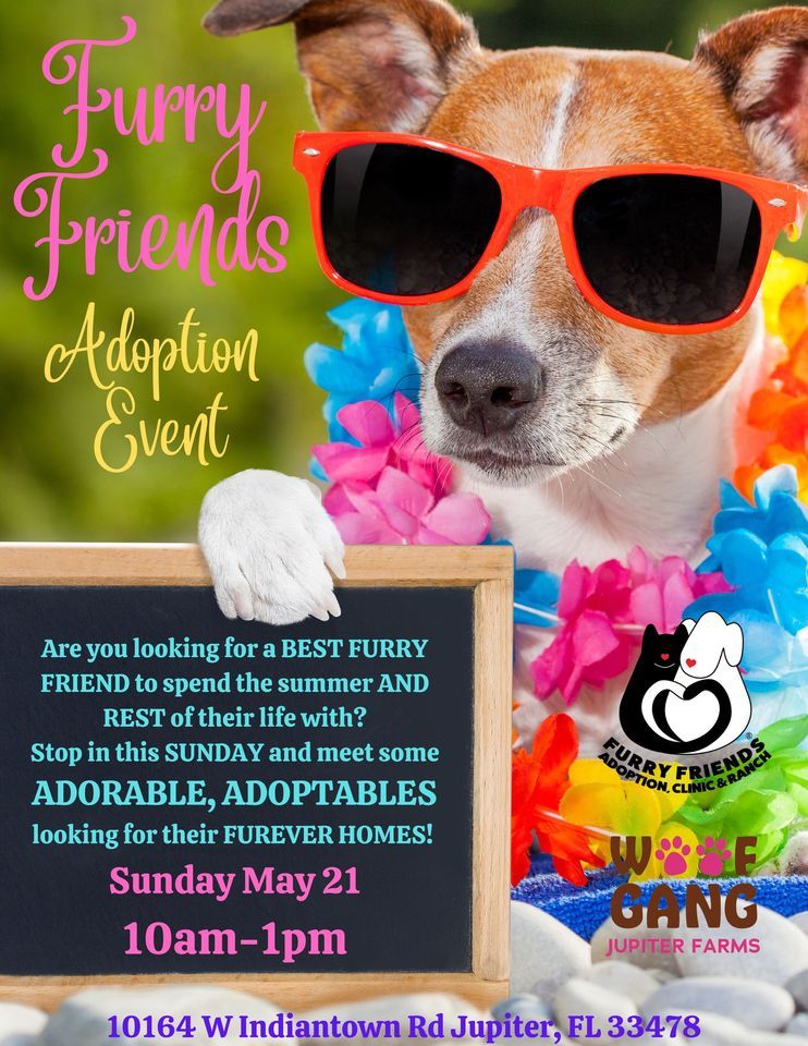 Find Your Best Furry Friend THIS SUNDAY!, Woof Gang Bakery & Grooming Jupiter Farms, 21 May 2023
