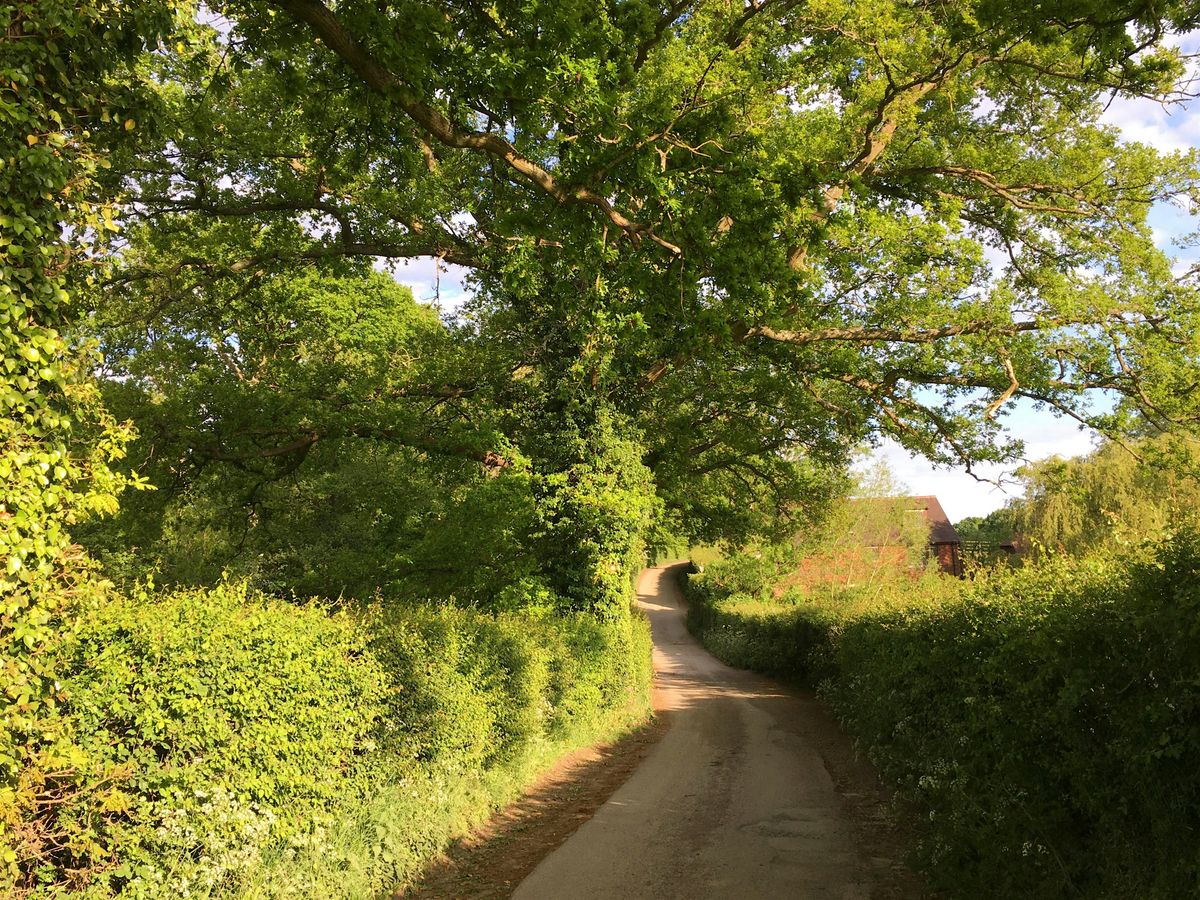 Walk Tonbridge Club: Mud Free Winter Hike, 18 January | Event in Tonbridge | AllEvents