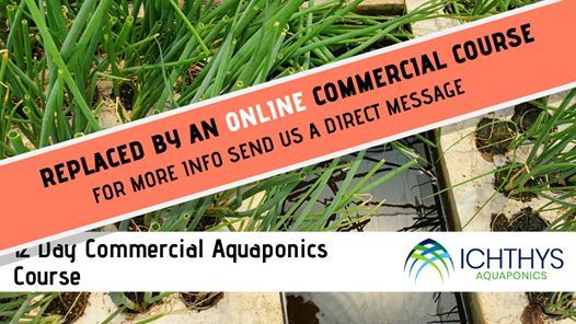 Online Commercial Aquaponics Training 12 Days At Ichthys Aquaponics Magaliesburg Online Event