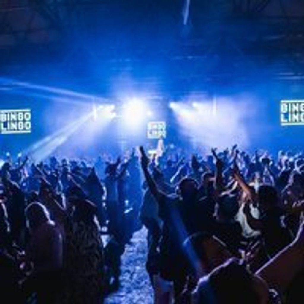 Bingo Lingo, 12 December | Event in Bournemouth | AllEvents