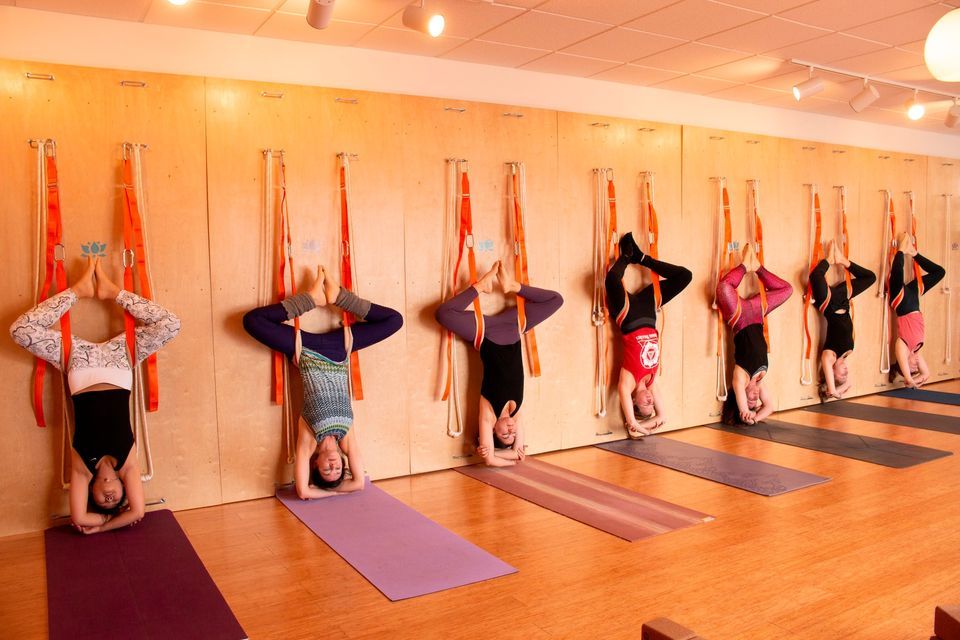 Yoga Wall Ropes & Slings Certification with Deanna Sidoti, Dhyana Yoga