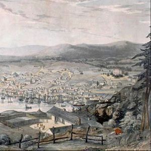 Parking Saint John Sea Dogs at Newfoundland Regiment