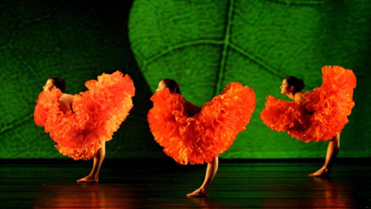 Momix - Davis, 4 December | Event in Davis | AllEvents