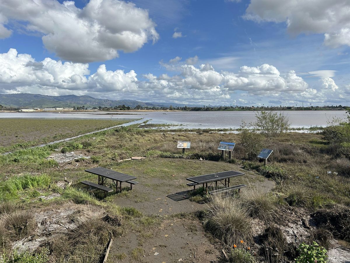 The Story of Water at Ensen Community Park & Holiday Crafts, 13 December | Event in Salinas | AllEvents