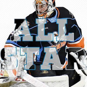 San Diego Gulls at Rockford Icehogs