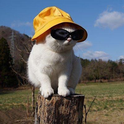 otro puto mercadillo logo