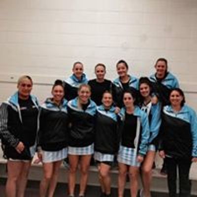 Tysons Waitara Netball