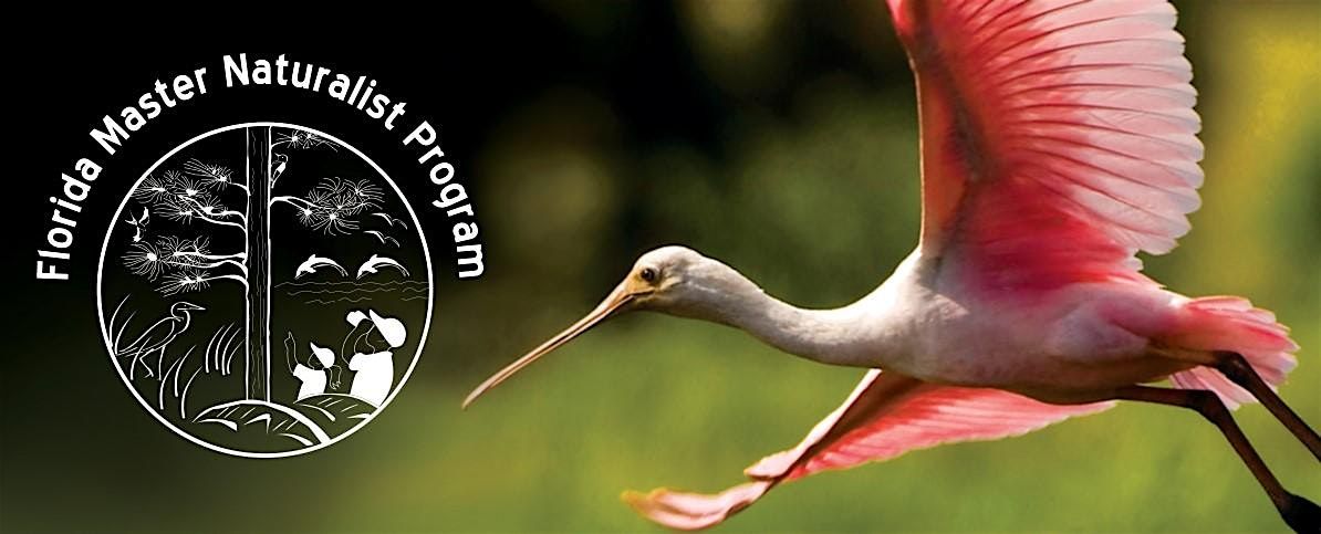 Florida Master Naturalist Program (FMNP) Freshwater Systems Info Page