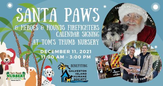 Tom Thumb Open On Christmas 2021 Santa Paws At Toms Thumb Nursery Tom S Thumb Nursery Landscaping And Boutique Galveston December 11 2021 Allevents In Tom Thumb Open On Christmas 2021 Santa Paws At Toms Thumb Nursery Tom S Thumb Nursery Landscaping And Boutique Galveston December 11 2021 Allevents In