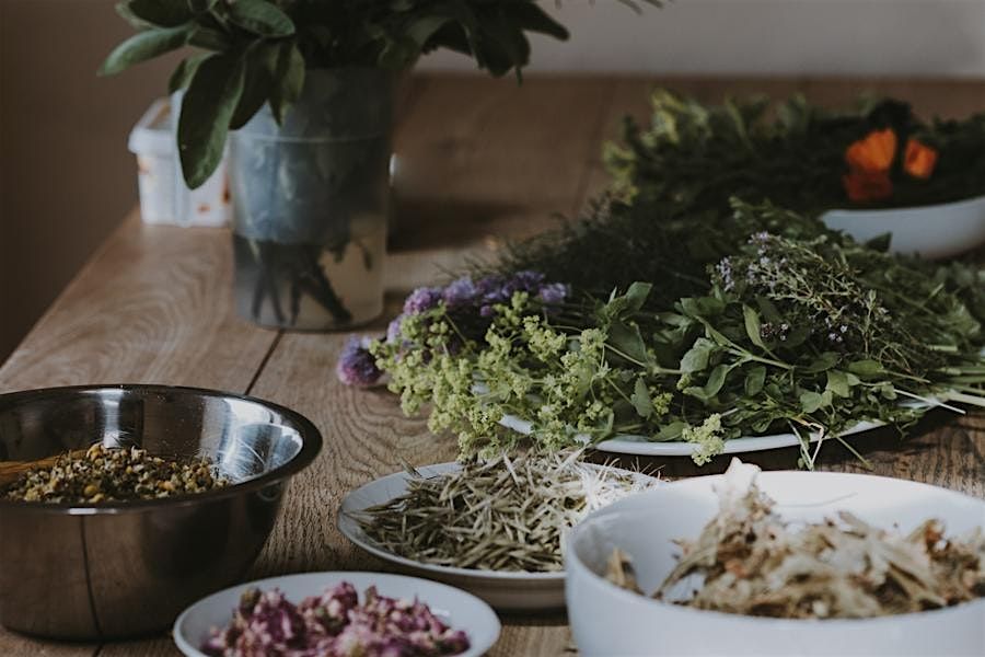 Ground and Gather- A Night of Connection, Learning, and Conversation., 27 November | Event in Hamilton | AllEvents