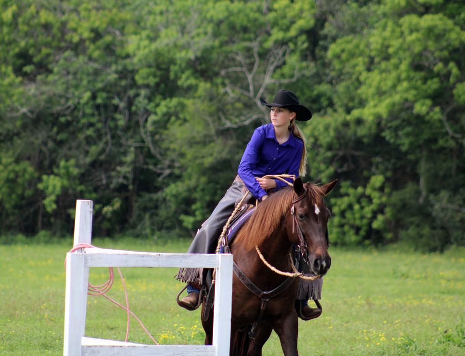 Ranch Horse Schooling Show, Lone Star Riding School, Waller, November 4