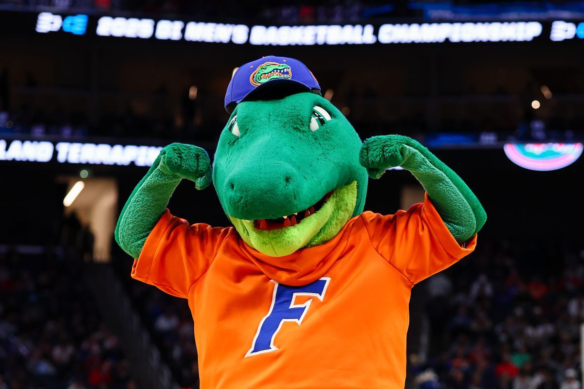 Florida Gators at Kentucky Wildcats Womens Volleyball at Memorial Coliseum KY, 19 October | Event in Lexington