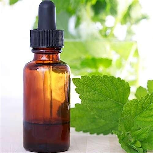 Tinctures 101 | Event in Cincinnati | AllEvents